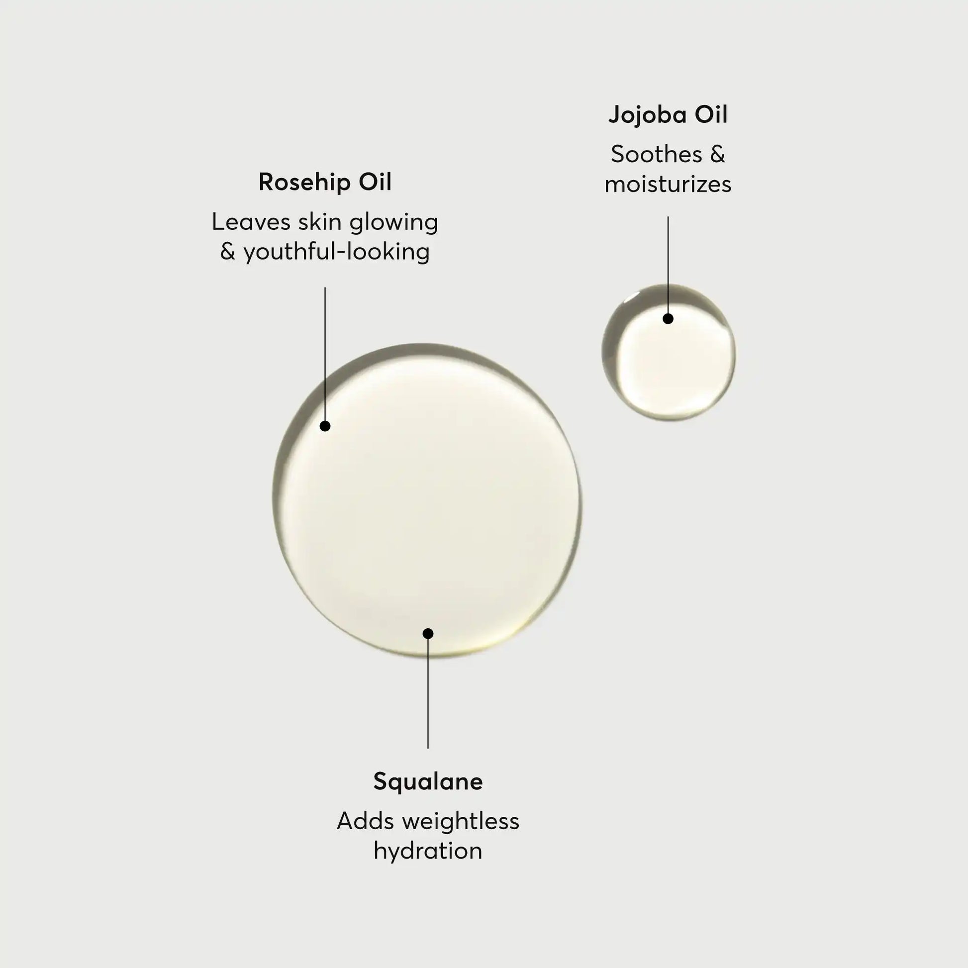 the-glow-getter-body-oil-x8 NATR-10115-Alt-Images-The-Glow-Getter-Body-Oil-01.webp