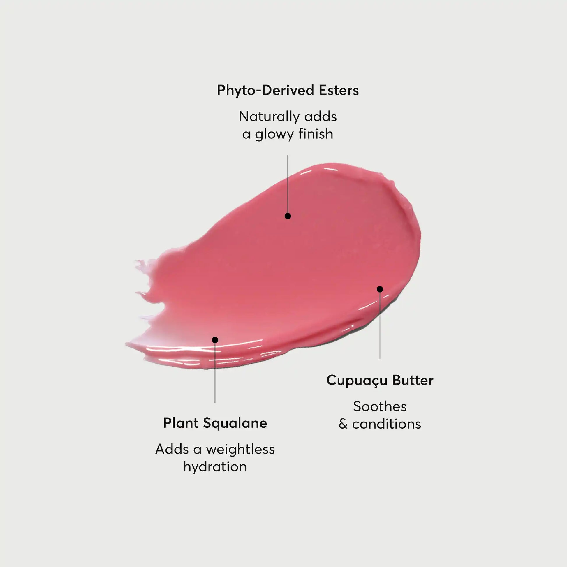 phyto-glow-lip-balm-petal-j4 NATR-60067-Alt-Images-Phyto-Glow-Lip-Balm-Petal-01.webp