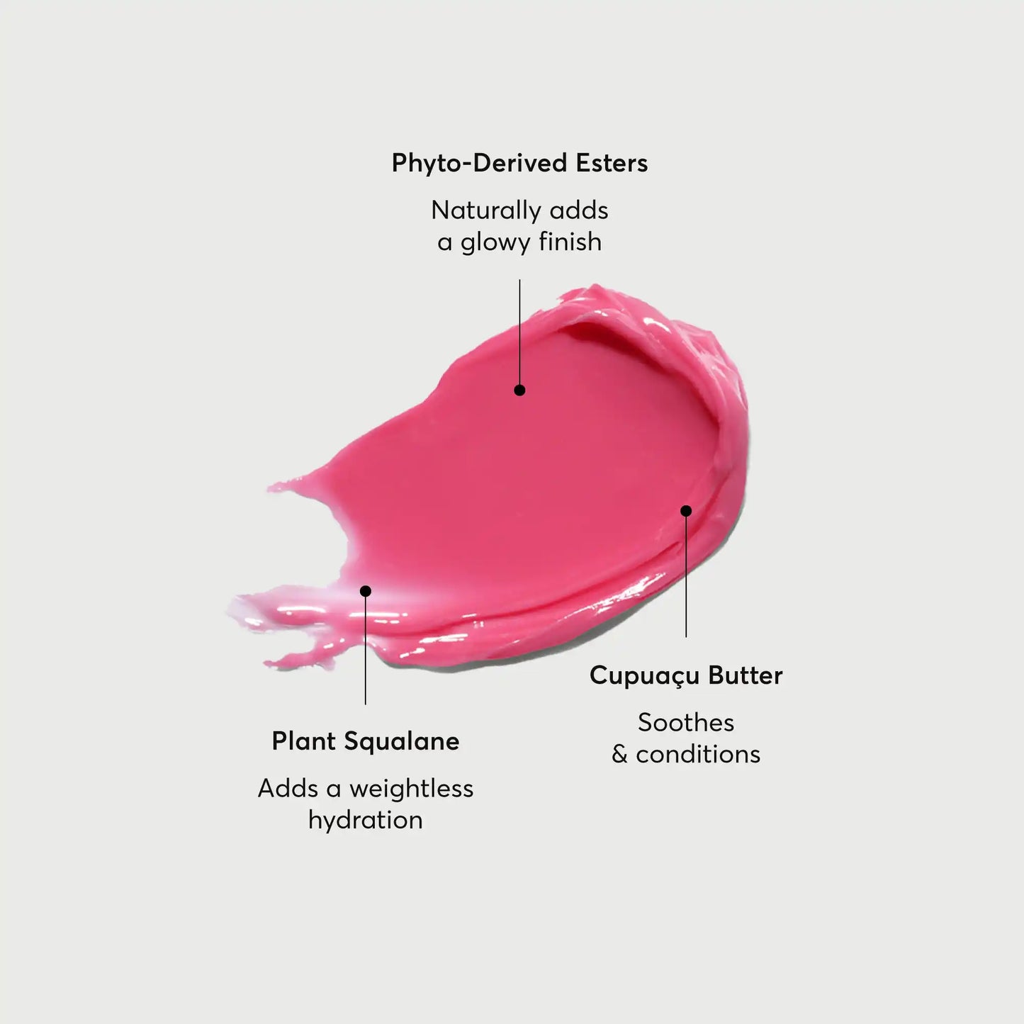 phyto-glow-lip-balm-camellia-z5 NATR-60075-Alt-Images-Phyto-Glow-Lip-Balm-Camellia-01.webp